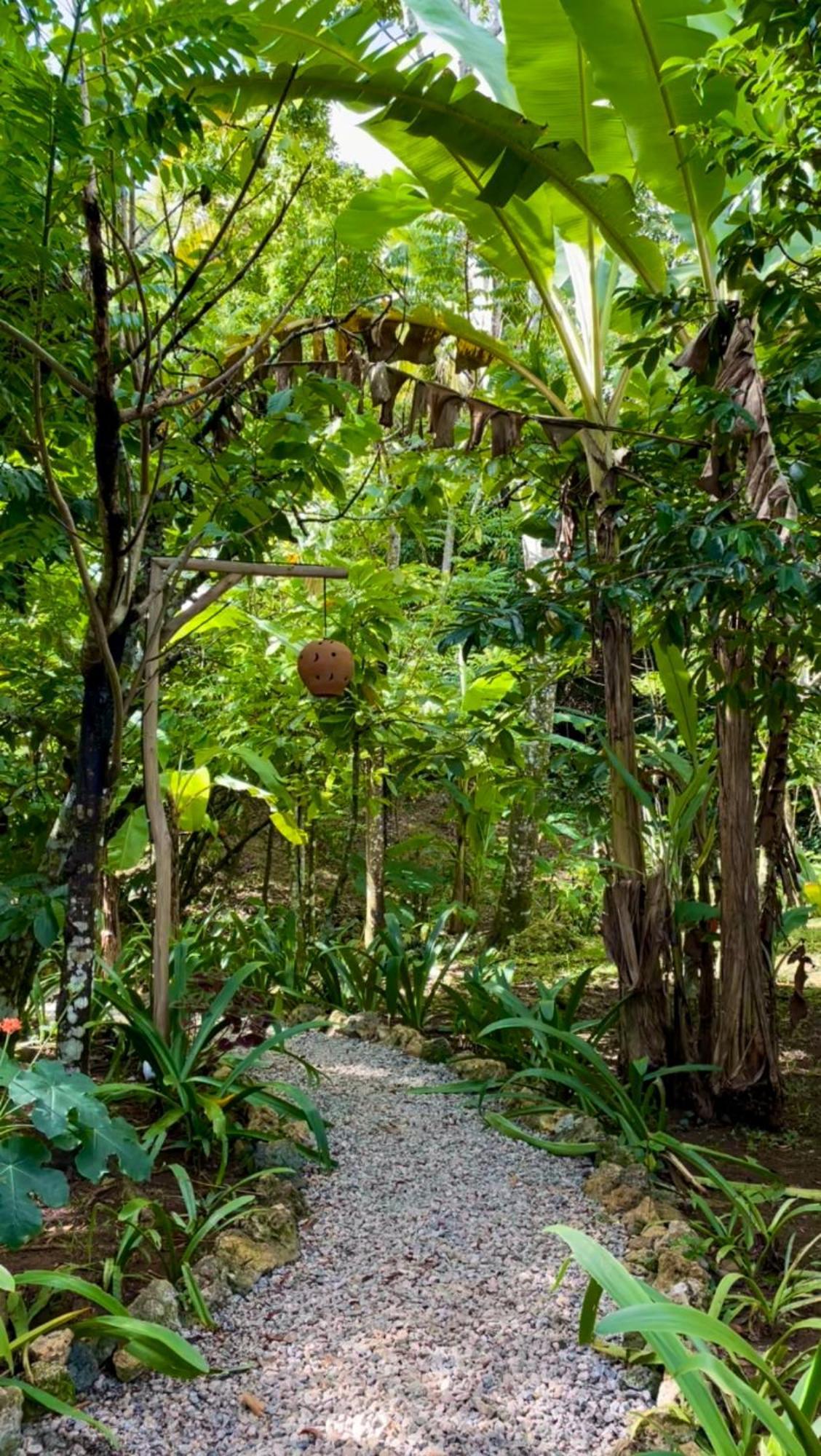 Rancho Romana Ecolodge Park V-01 El Limon Dış mekan fotoğraf