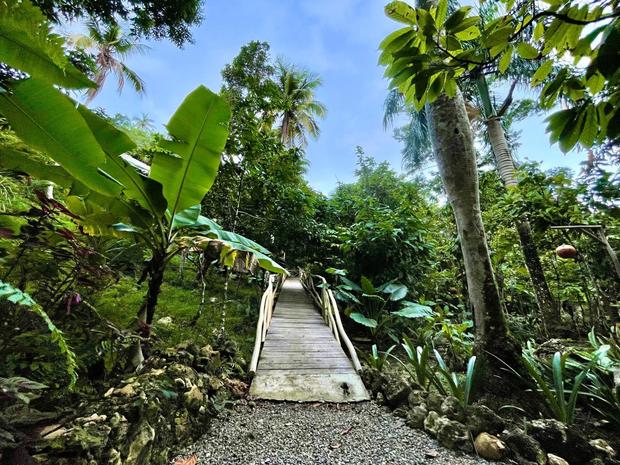 Rancho Romana Ecolodge Park V-01 El Limon Dış mekan fotoğraf